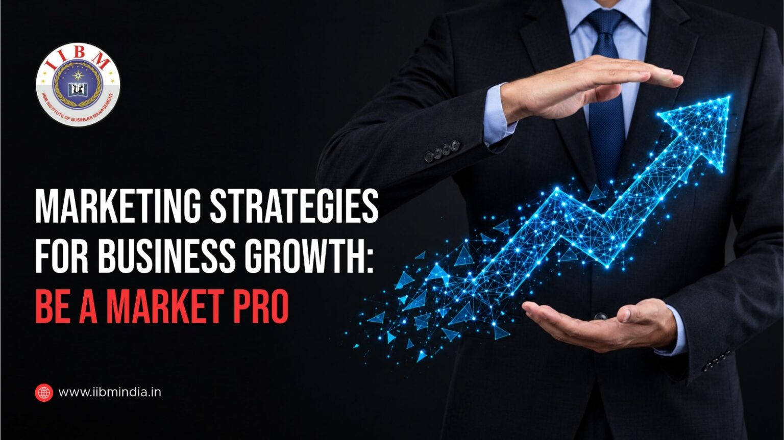 Marketing Strategies for Business Growth: Be a Market Pro