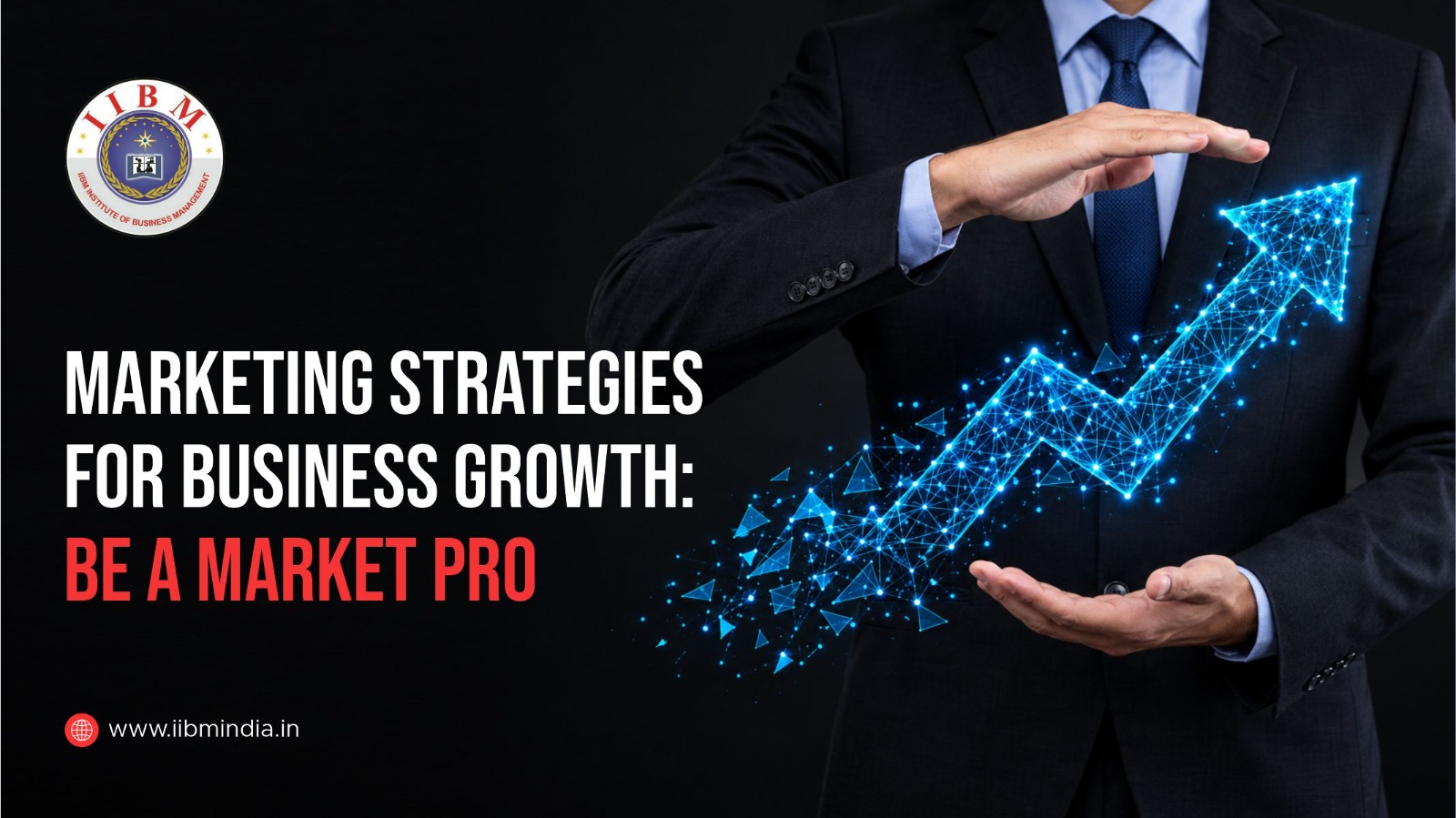 Marketing Strategies for Business Growth: Be a Market Pro